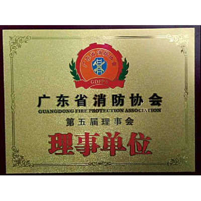 广东消防协会 理事单位