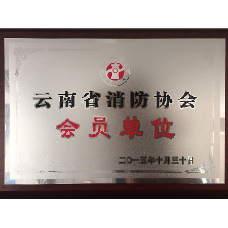 Member Unit of Yunnan Fire Protection Association